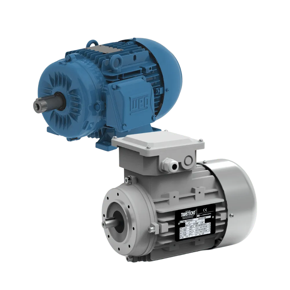 AC Electric Motors
