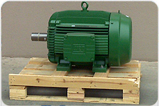 110KW-Weg-Motor