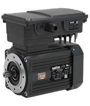 Transtecno DC Electrical IP66 Permanent Magnets Motor